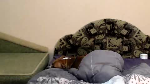 Snapshot of tayagirl chatting on 02.04.25 Taya online show from 02.04.25