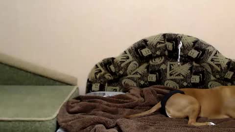 Snapshot of tayagirl chatting on 12.16.25 Taya online show from 12.16.25