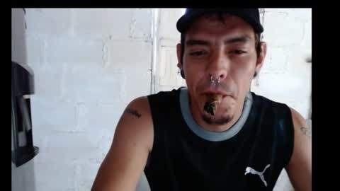 tayler punk online show from 12.01.24