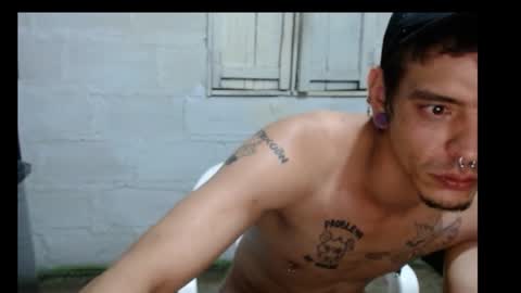 tayler punk online show from 12.02.24