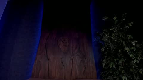 Snapshot of taylor_jonnees chatting on 12.07.24 Taylor  Help me to get 100 thumbs up online show from 12.07.24