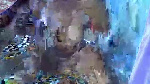 teabody1 online show from 03.23.26