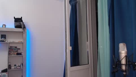 Teddy online show from 12.18.24