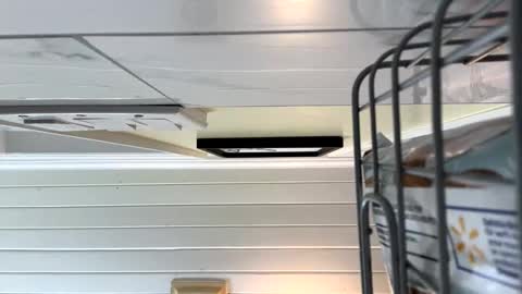 Twizzler online show from 10.16.25