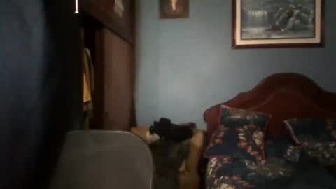 Snapshot of tender_eldelatienda chatting on 07.22.26 Fabio Canavaro online show from 07.22.26