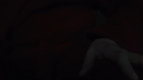 tetuo2 online show from 11.17.25