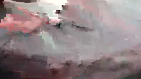 Snapshot of th1s1sp0rn chatting on 05.26.26 th1s1sp0rn online show from 05.26.26