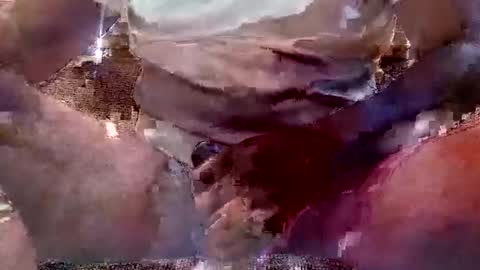 Snapshot of thatguy_bda22 chatting on 02.11.25 That Guy J online show from 02.11.25