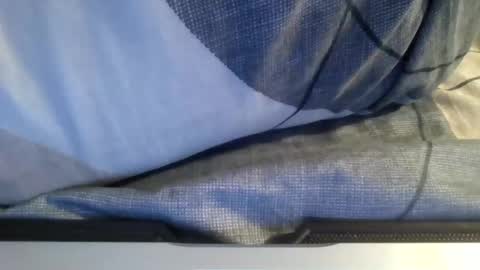 Snapshot of the_borderlands chatting on 02.01.26 the crazy travellers online show from 02.01.26