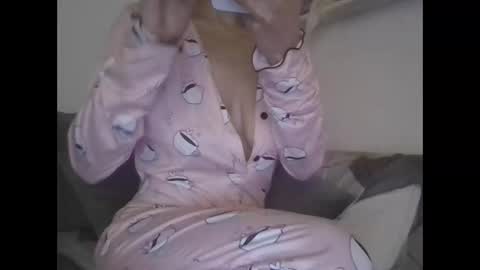 Snapshot of the_borderlands chatting on 02.17.26 the crazy travellers online show from 02.17.26