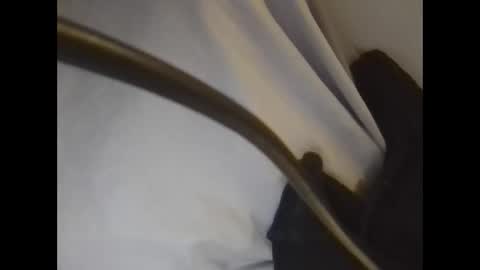 Snapshot of the_borderlands chatting on 02.26.26 the crazy travellers online show from 02.26.26