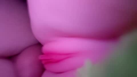 thebigcock4u222427 online show from 05.30.26