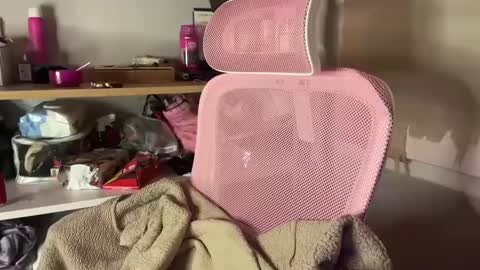 thecontcobracock24cm online show from 02.07.25