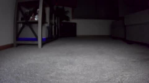 thegreat6268469 online show from 12.24.24