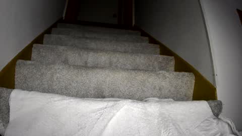 thegreat6268469 online show from 03.09.25