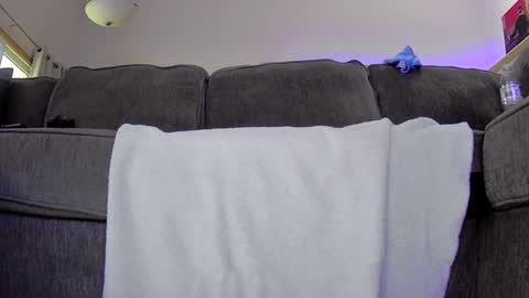 thegreat6268469 online show from 09.12.25