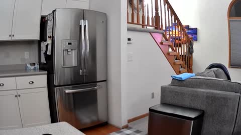 thegreat6268469 online show from 09.26.25