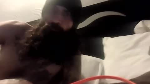 Snapshot of theh4iryfi5h chatting on 02.21.26 theh4iryfi5h online show from 02.21.26