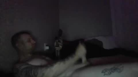 Snapshot of thehammer_cookie chatting on 03.01.26 thehammer_cookie online show from 03.01.26