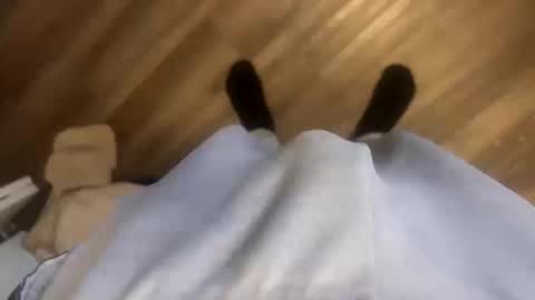 theplummer99 online show from 10.11.25