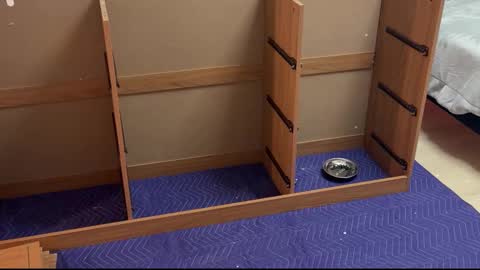 therealdylansdick online show from 11.15.25