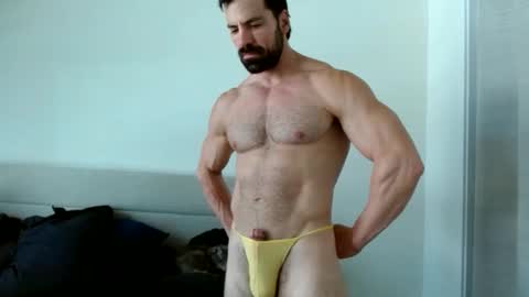 Yoshi online show from 11.24.25