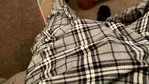 Snapshot of therealpietro77 chatting on 02.05.26 therealpietro77 online show from 02.05.26