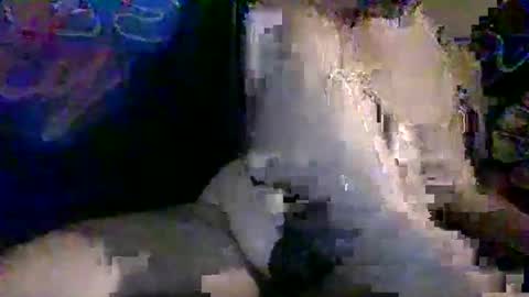 Benni420 online show from 11.10.25