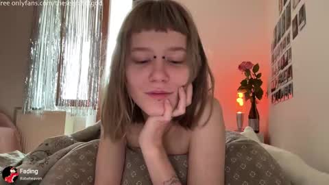 Snapshot of thesearchofgod chatting on 11.04.25 LISA online show from 11.04.25