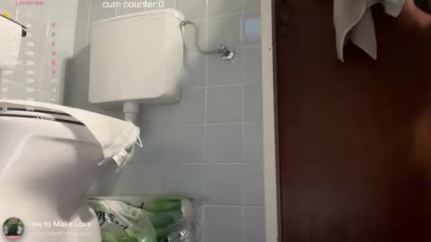 Snapshot of thesearchofgod chatting on 02.12.26 LISA online show from 02.12.26