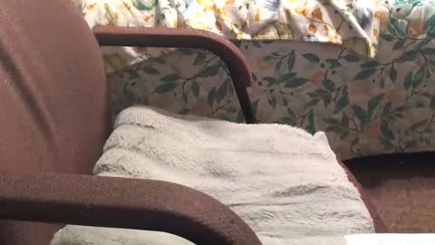 thetnguy online show from 04.20.26