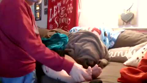 Snapshot of theycallmemellowthebreeze chatting on 12.28.24 mellow online show from 12.28.24