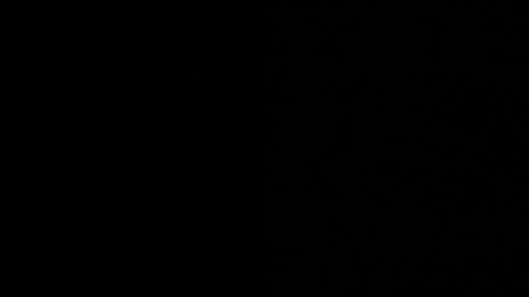 thiago_driussi online show from 11.12.25