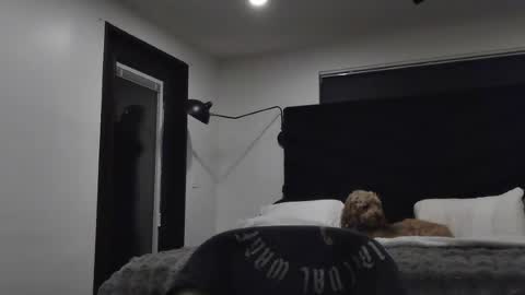 Snapshot of thiccbull12 chatting on 06.29.26 thiccbull12 online show from 06.29.26