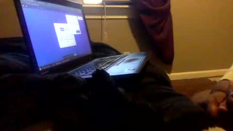 Tierra Henri online show from 02.02.25