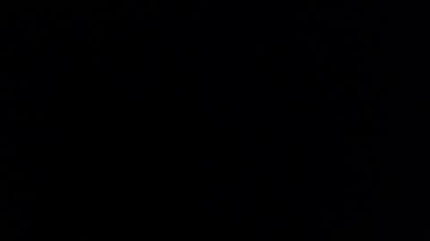 Tiffany Brewer online show from 03.14.26