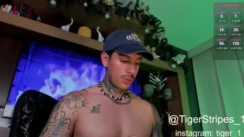 Snapshot of tigerstripes_ chatting on 01.08.25 Chris online show from 01.08.25