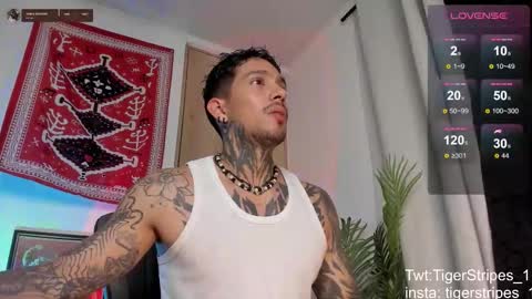 Snapshot of tigerstripes_ chatting on 03.04.26 Chris online show from 03.04.26