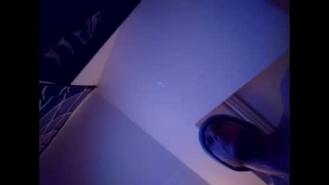 Snapshot of tigertrance chatting on 12.13.24 tigertrance online show from 12.13.24