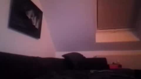 Snapshot of tigertrance chatting on 11.17.25 tigertrance online show from 11.17.25