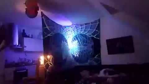 Snapshot of tigertrance chatting on 12.02.25 tigertrance online show from 12.02.25