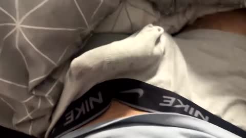 Timur online show from 04.04.26