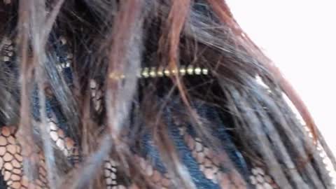 Snapshot of tinakay1 chatting on 12.17.24 tinakay1 online show from 12.17.24