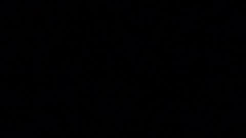 tinydaisy22 online show from 11.22.25