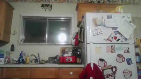 Snapshot of tiusflow chatting on 11.09.25 tiusflow online show from 11.09.25