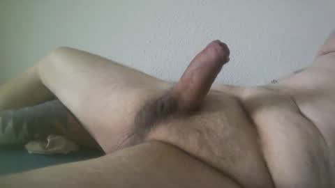 toadallyawesome online show from 12.29.24