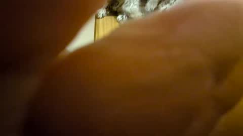 Snapshot of toadinhole chatting on 12.08.24 Toady online show from 12.08.24