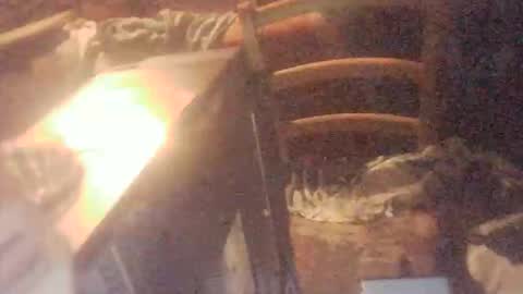 tobimcfly723 online show from 04.16.26