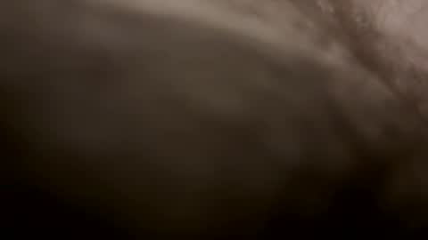 toesturnmeon online show from 10.11.25