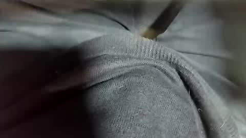 Tomas online show from 02.12.25